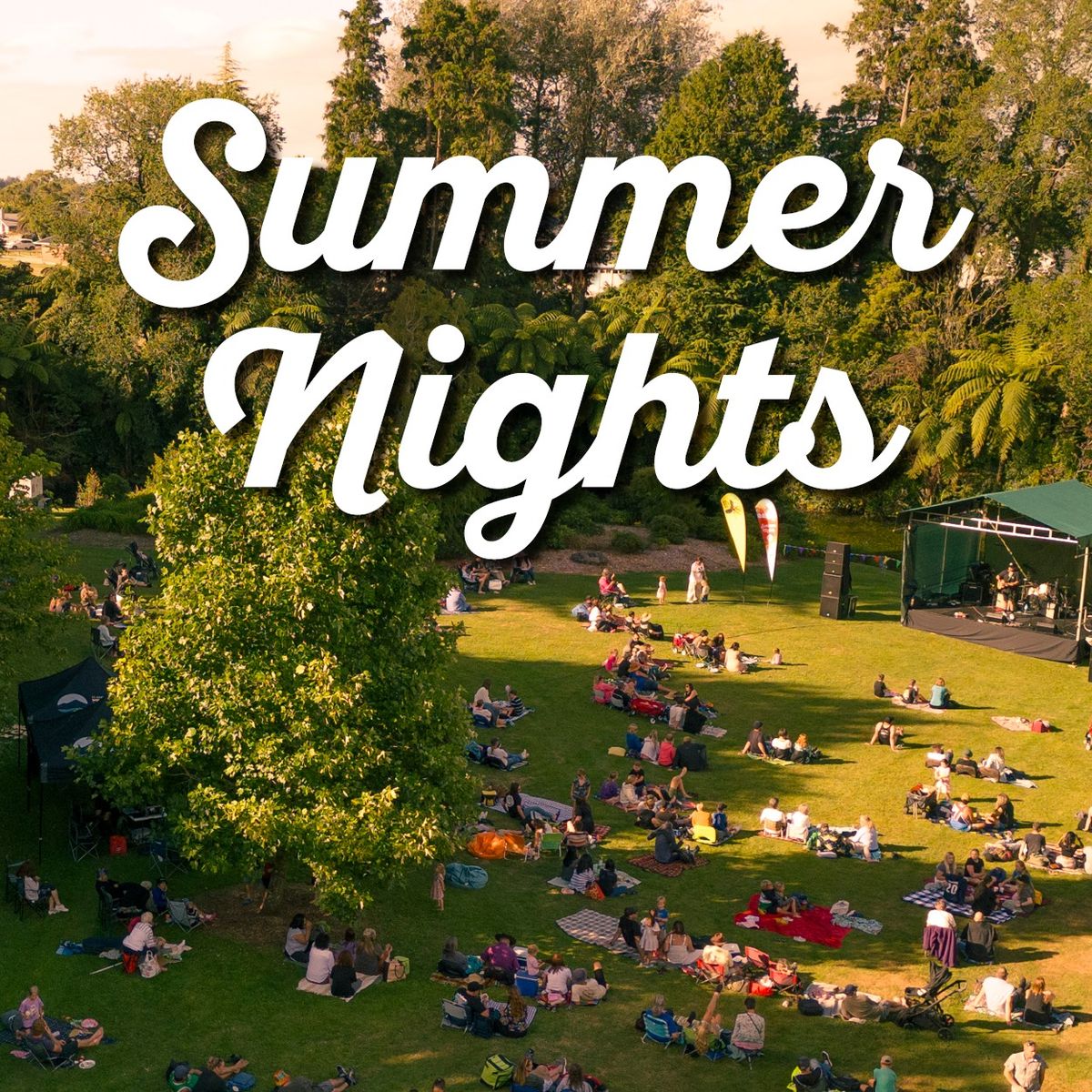 Summer Nights Concert in the Park