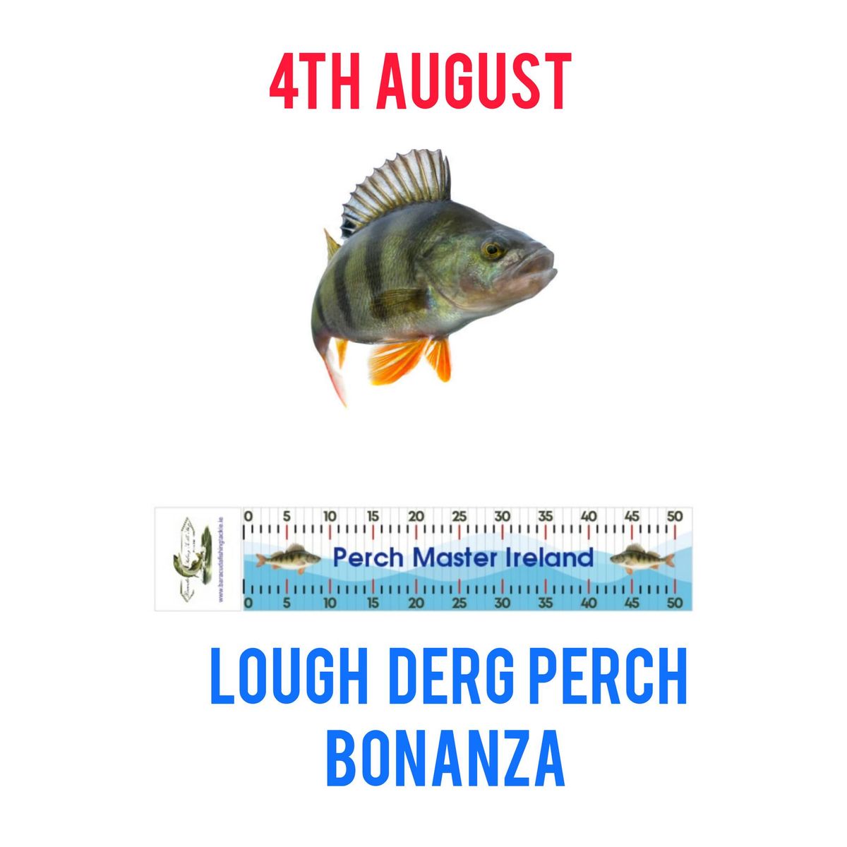 Lough Derg Perch Bonanza 2025