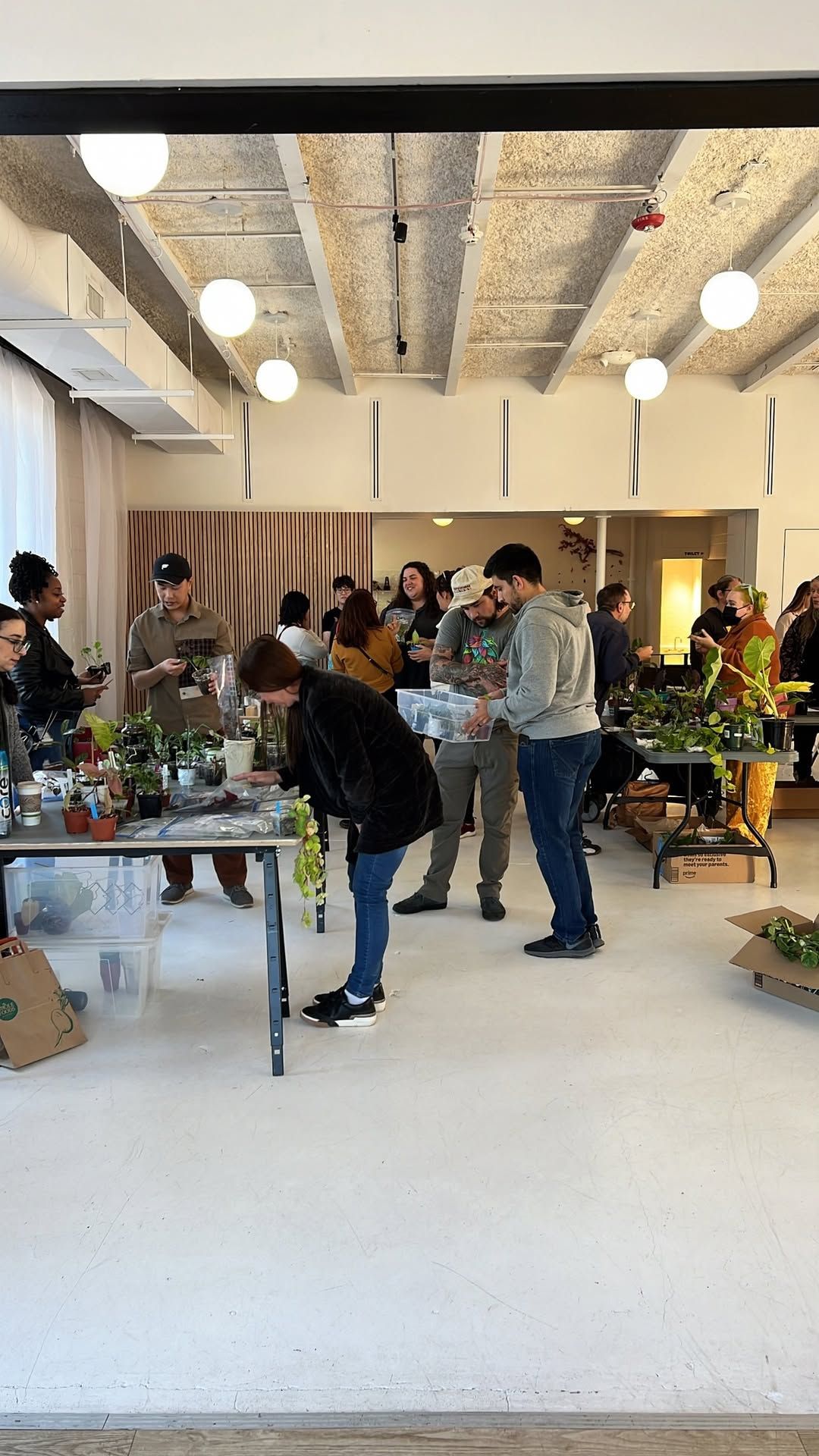 Plant Swap 