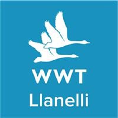 WWT Llanelli Wetland Centre