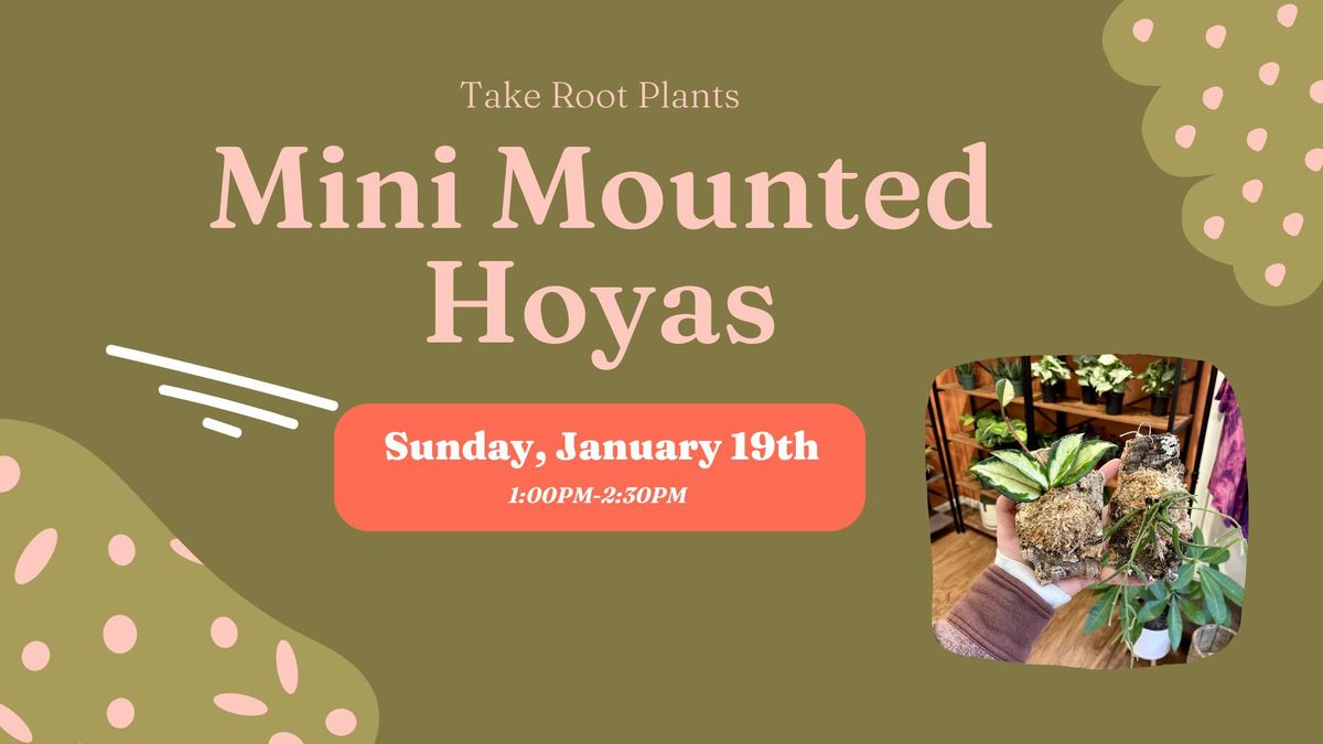 Mini Mounted Hoya Workshop