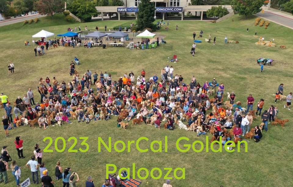 2024 NorCal Golden Palooza