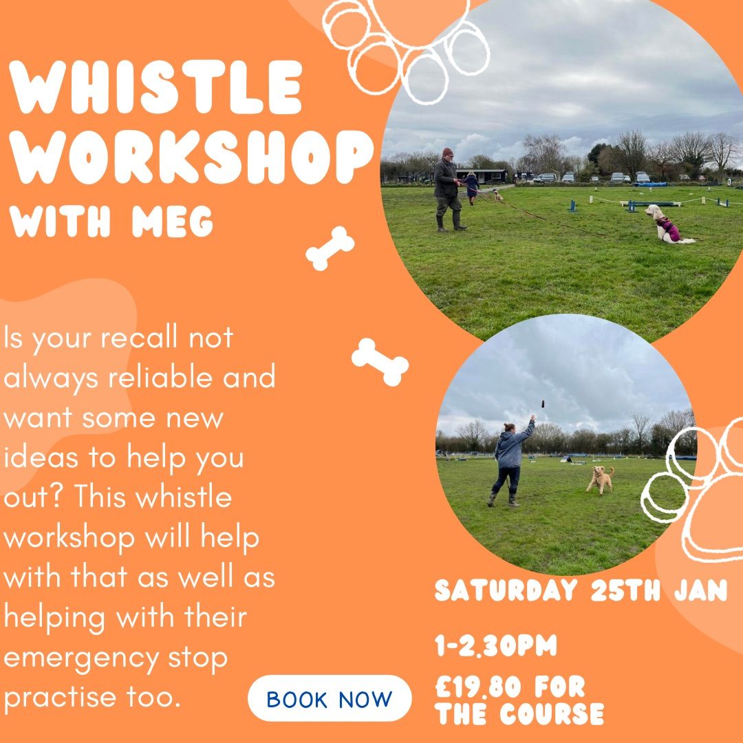 Whistle Workshop 