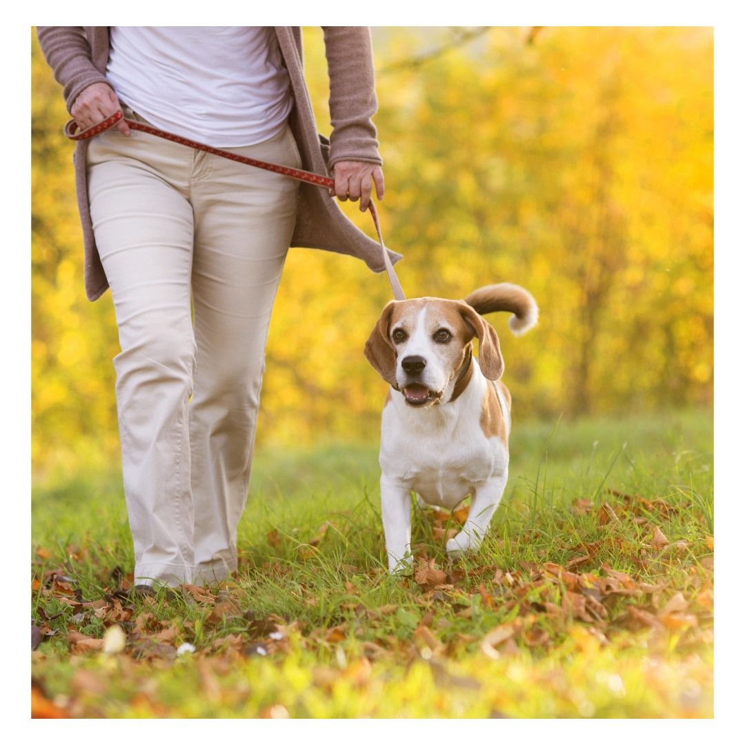 HOWL-ween Tails on Trails