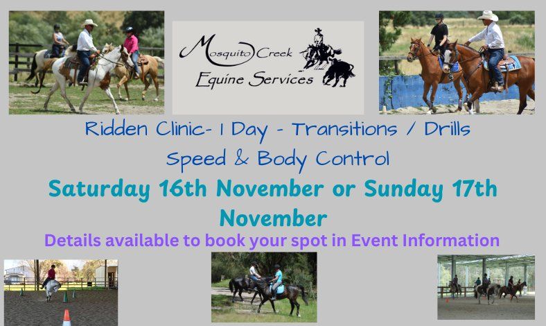 MSQ Ridden Clinic - Transitions\/Speed & Body Control - 1 Day