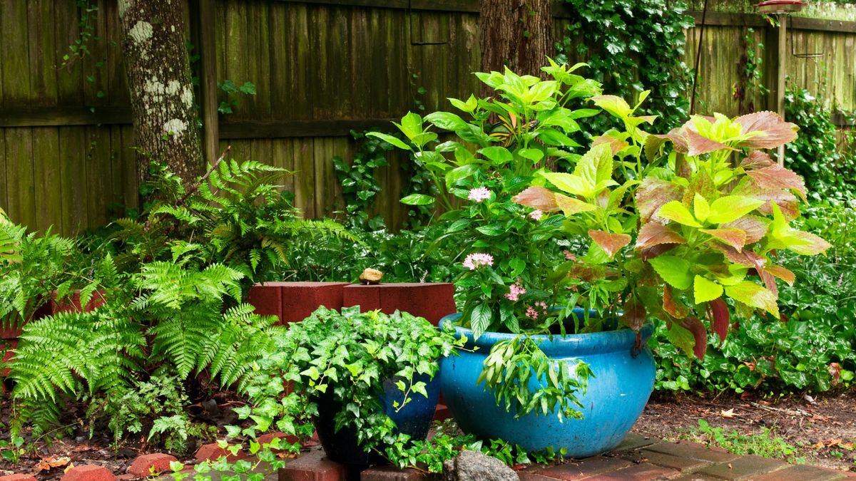 Container Gardening