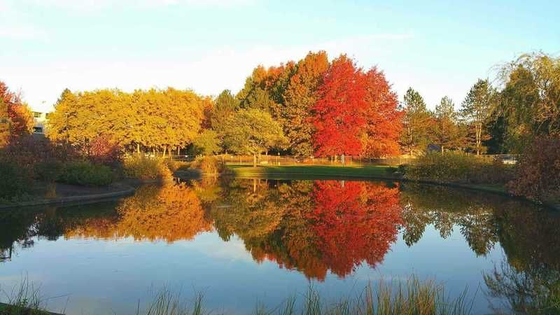 Photographing Reflections