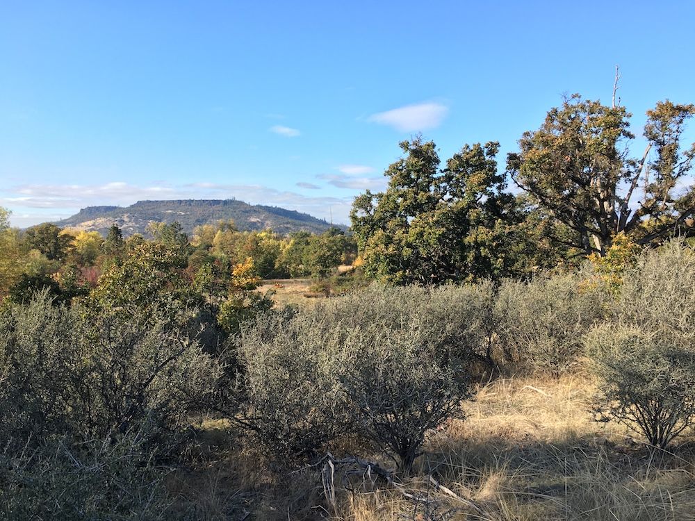 Denman Wildlife Refuge: Floodplain Exploration along Little Butte Creek