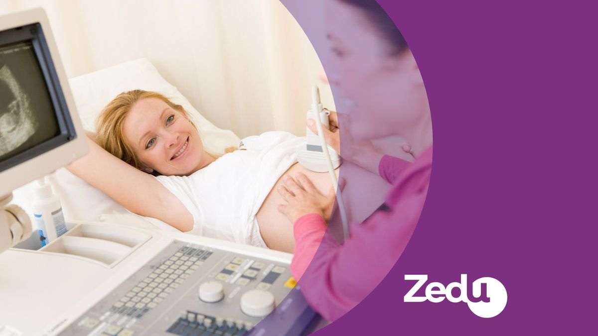 Zede Core Obstetric Ultrasound