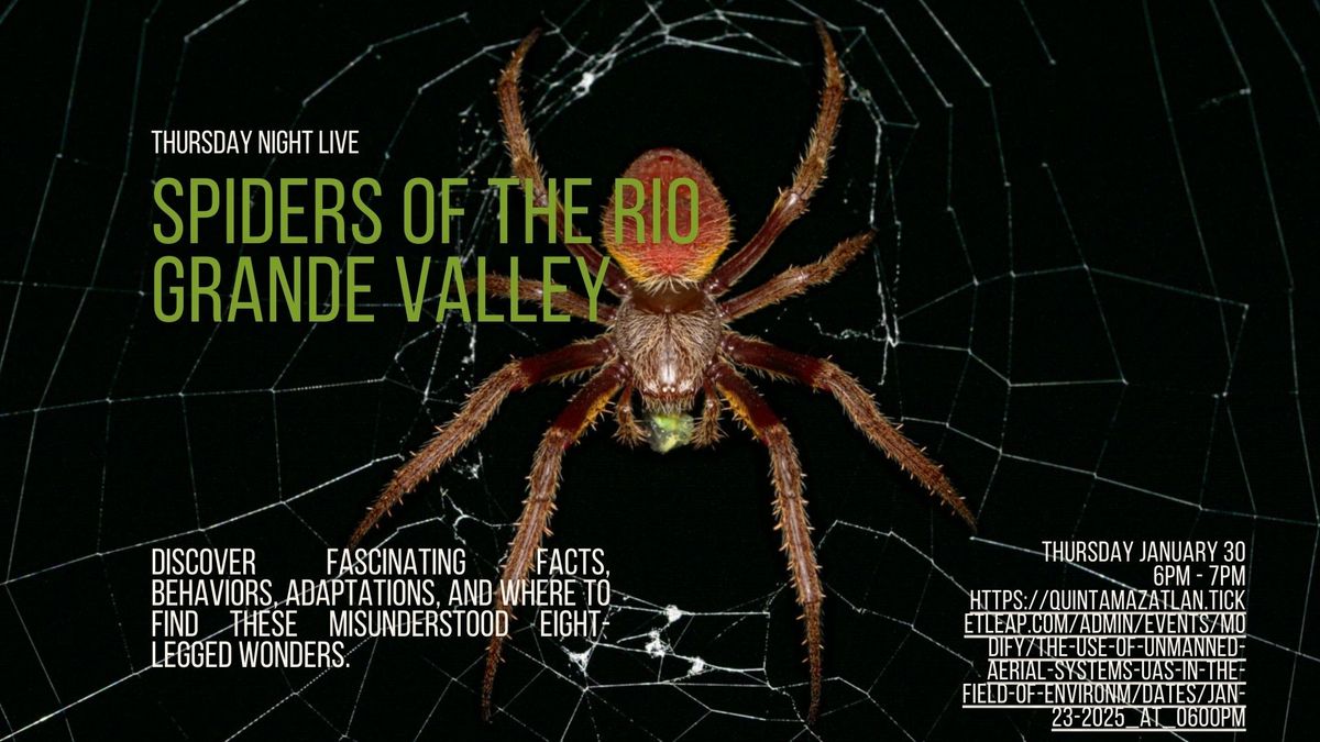 Spiders of the Rio Grande Valley 