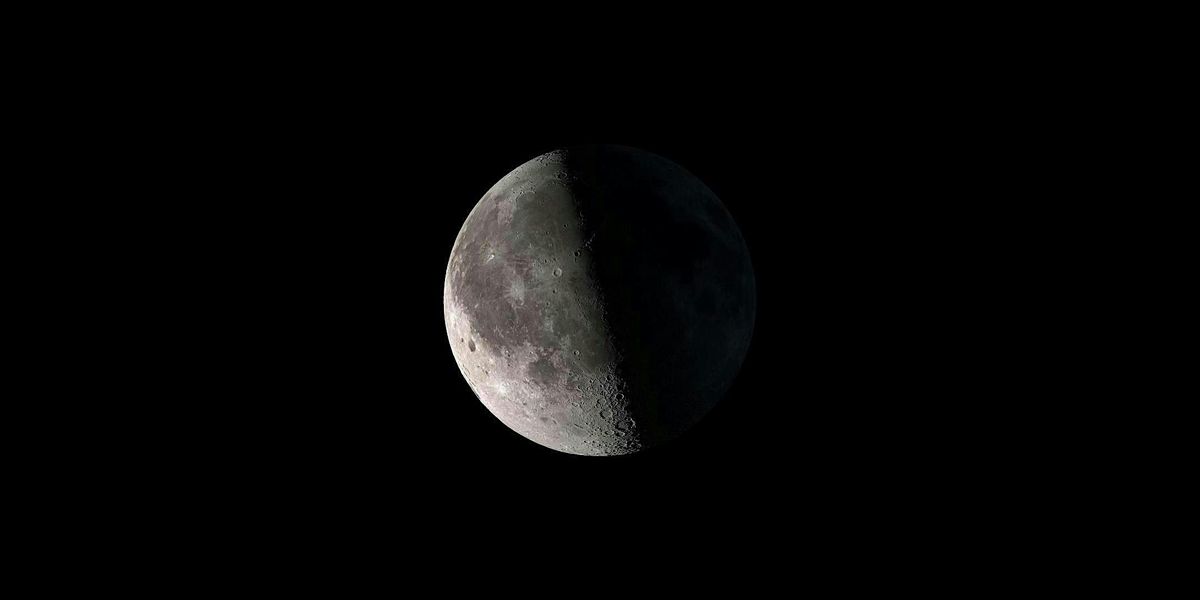 Night Walk: Summer Solstice