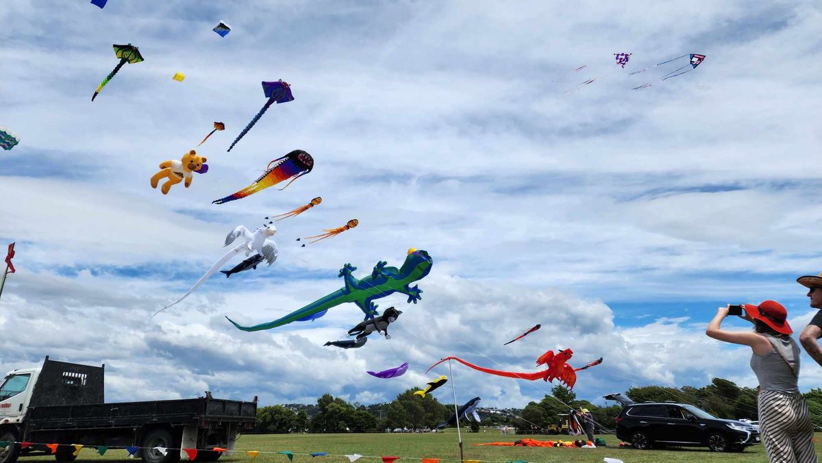 Nelson Summer Kite Festival