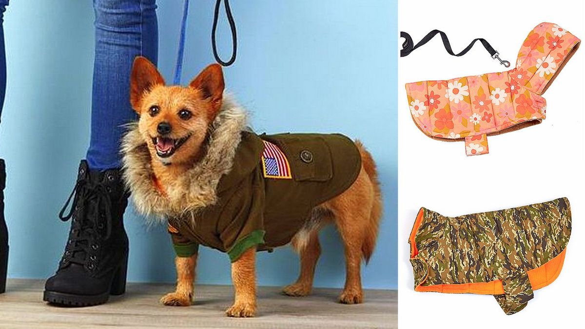 Doggie Jackets