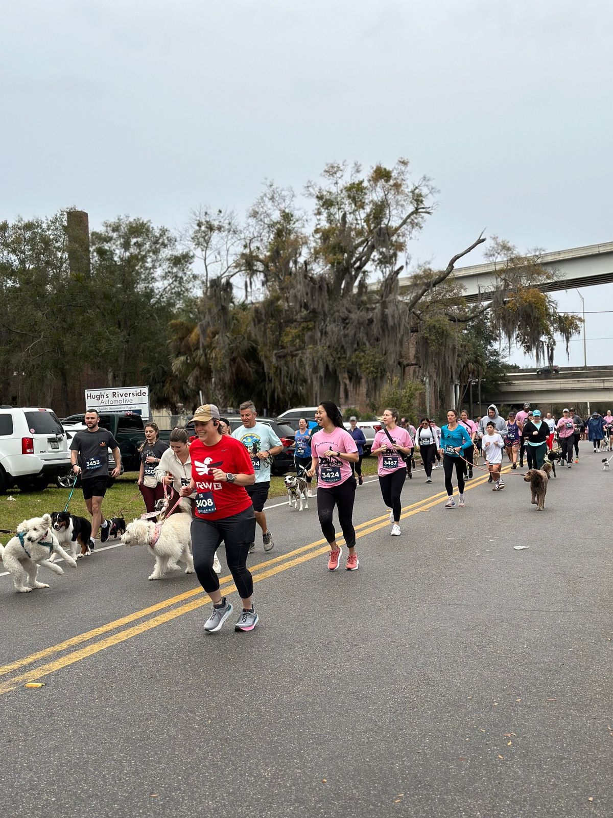 Chasing Tail 5K & VyStar Valentine Fun Run!