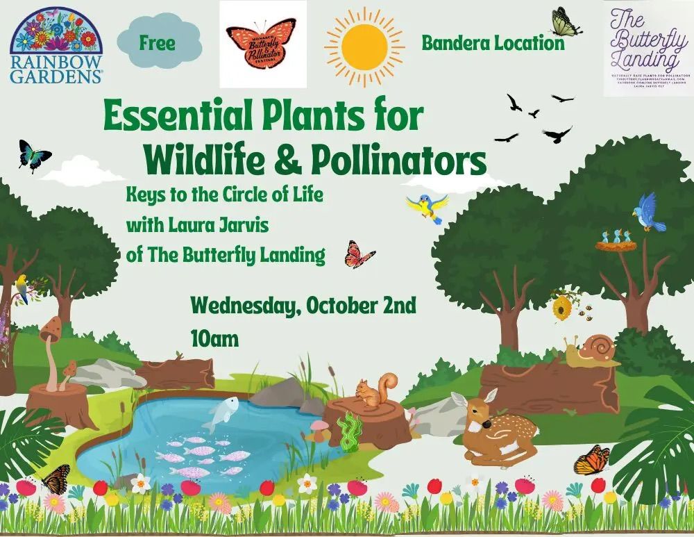 Essential Plants for Wildlife and Pollinators