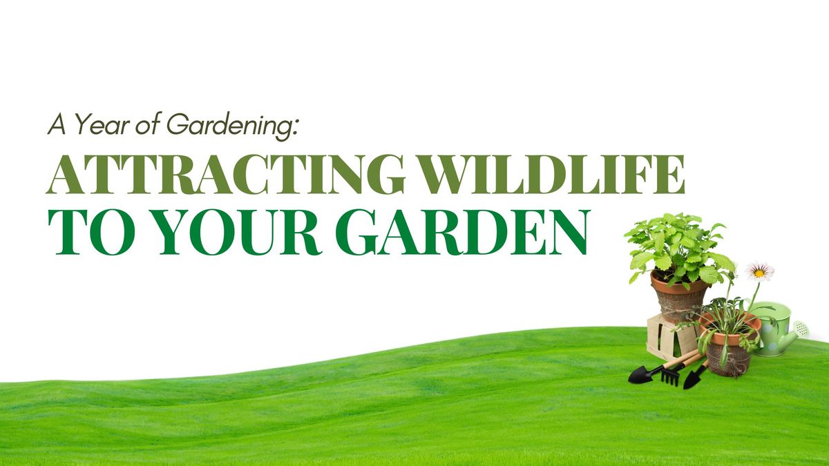 A Year of Gardening: Attracting Wildlife to Your Garden