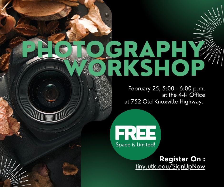 Photography Workshop