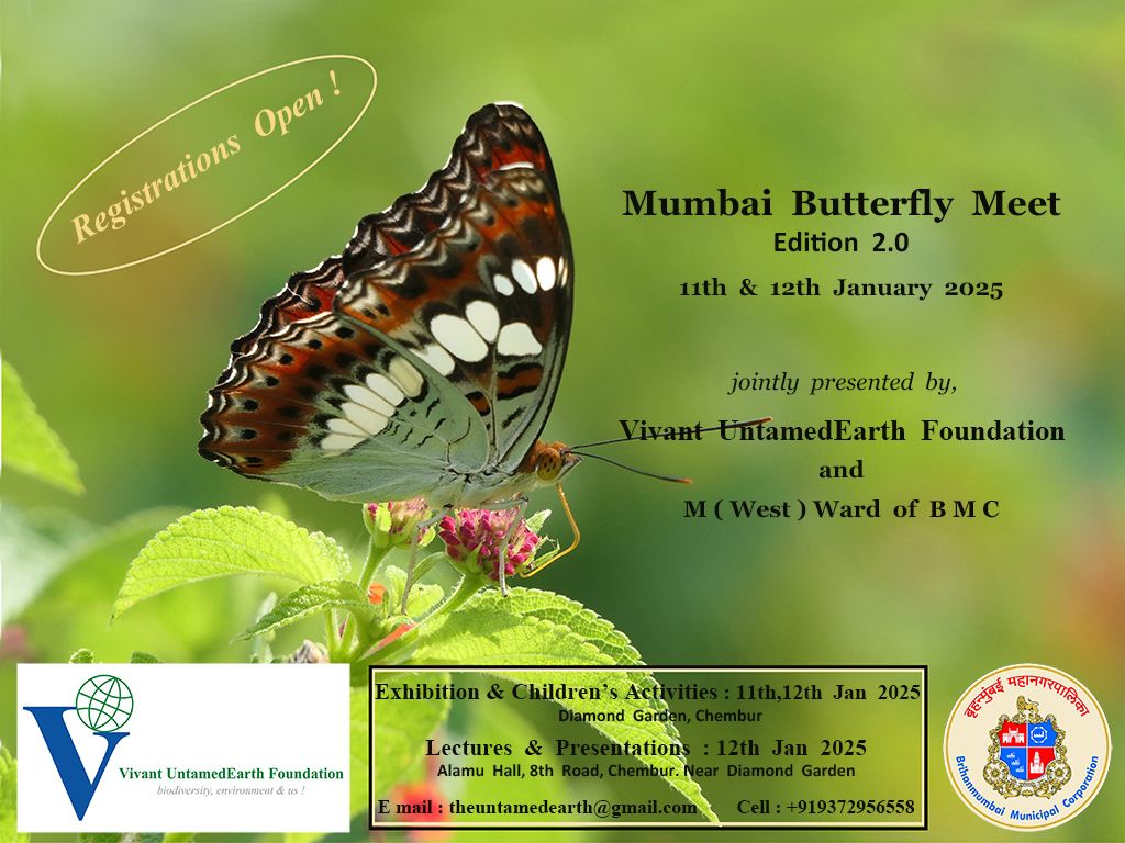 Mumbai  Butterfly  Meet - Edition  2.0