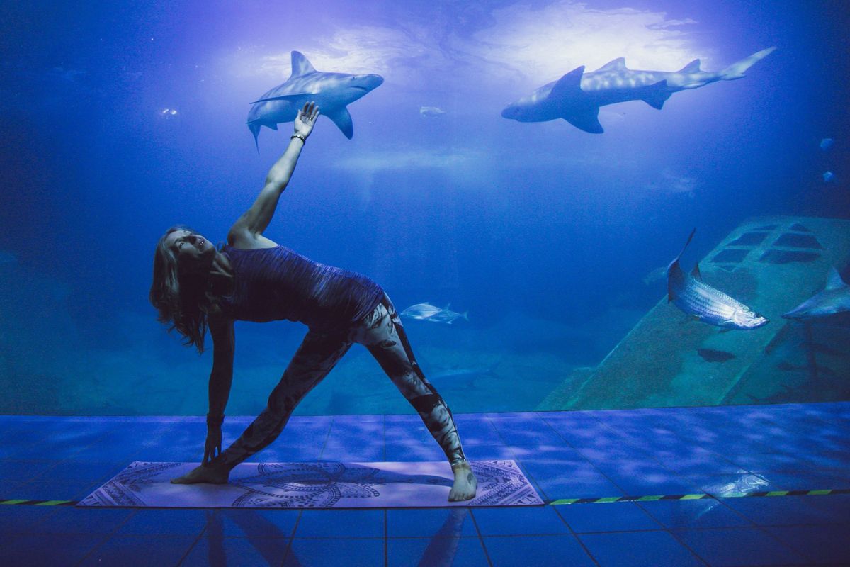 Ashtanga Yoga at the Aquarium