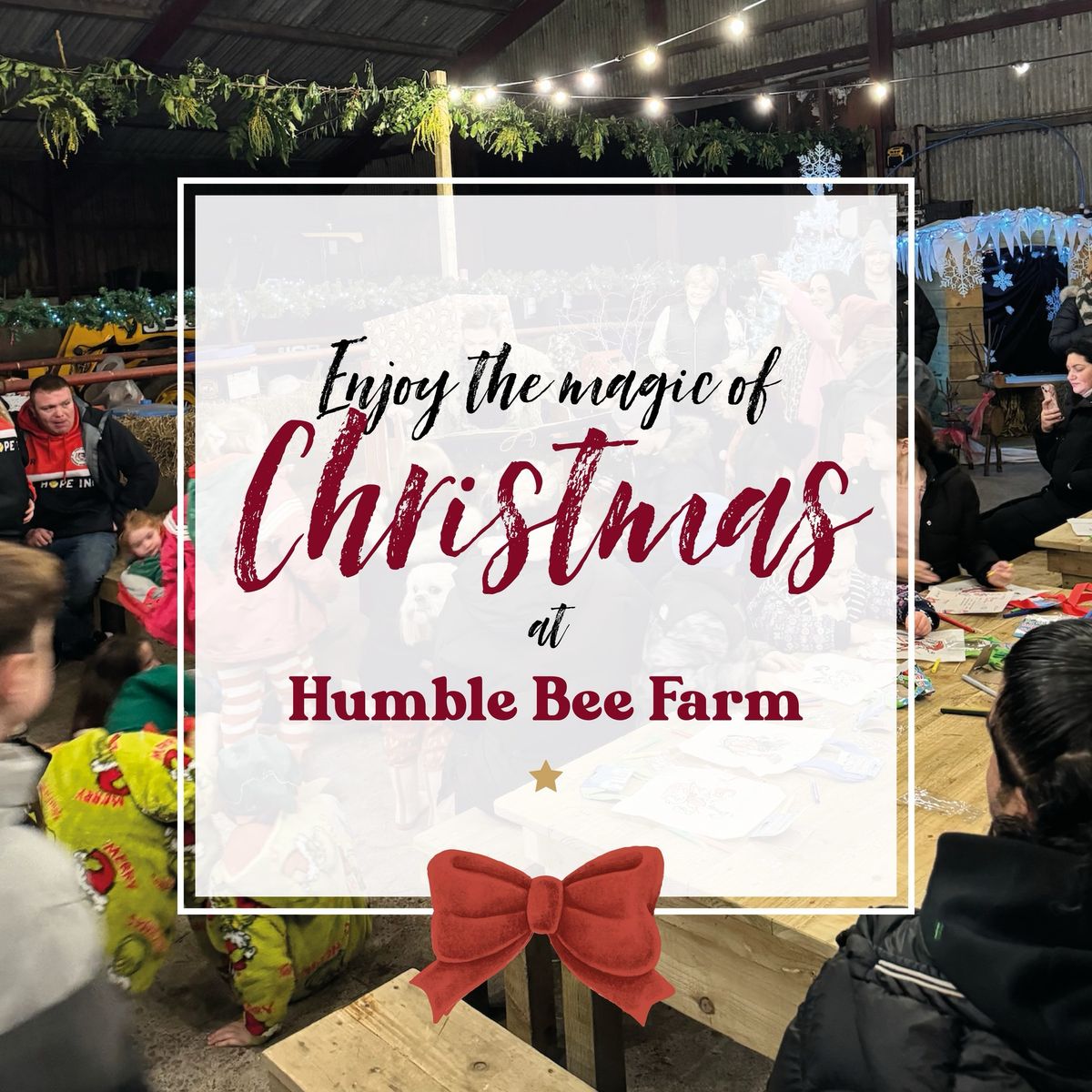 Magical Christmas Experience Down on the Farm