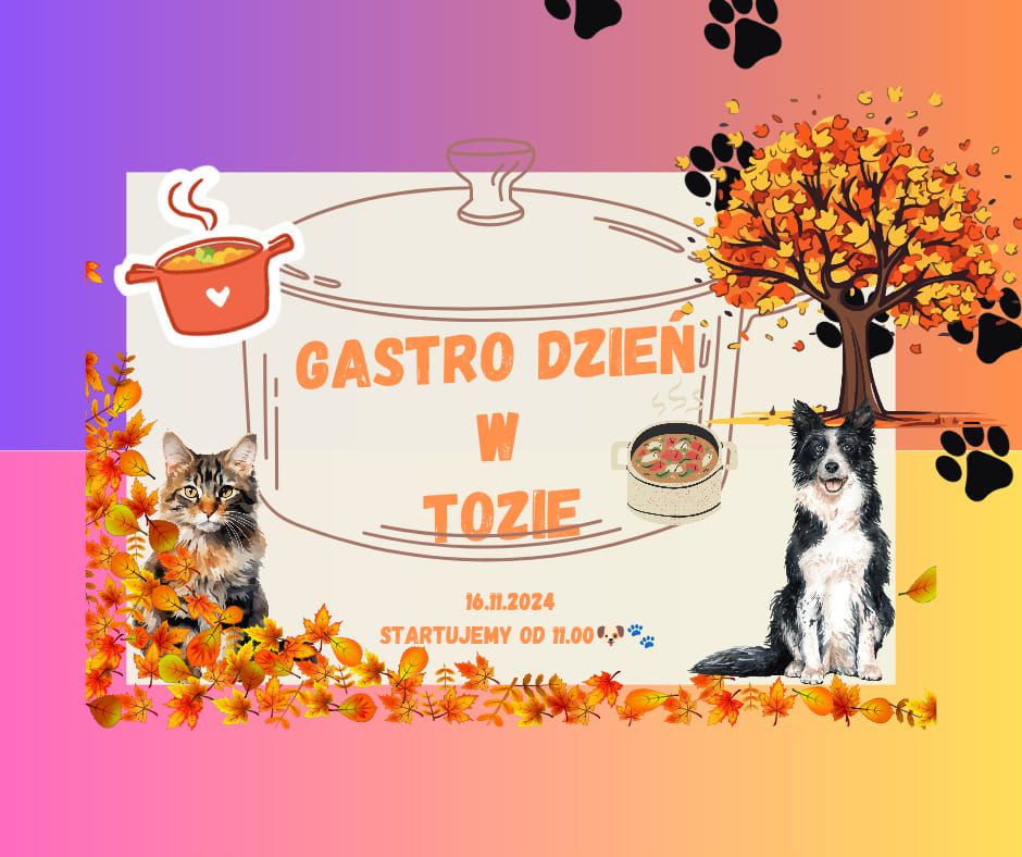 Gastro Dzie\u0144 w TOZ  EDYCJA II