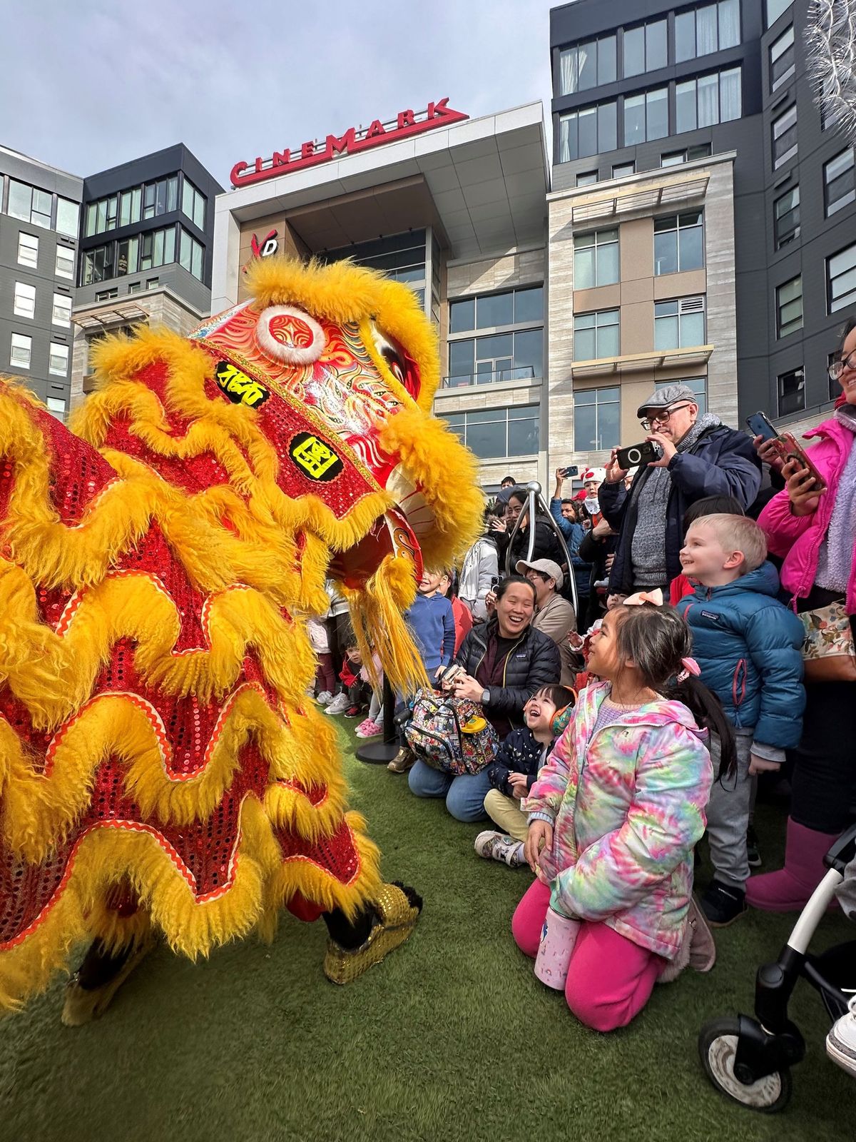 Lunar New Year Celebration