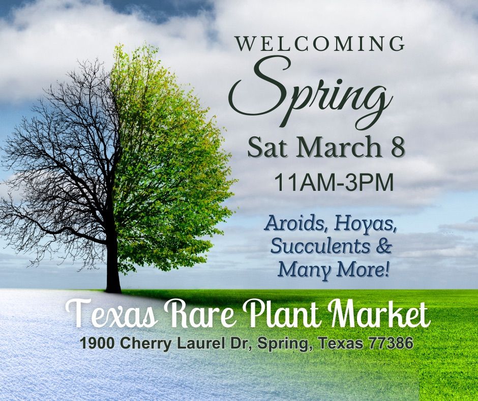 Welcoming Spring! March Plant Market for Aroids, Hoyas, and many more!