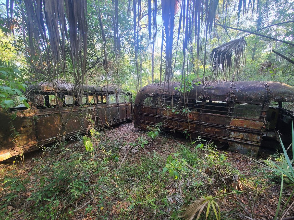 SWAMP IN THE SWAMP- Green Swamp and Adjoining lands ride