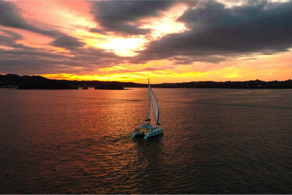 Sip, Sail & Savour at Sunset: Canap\u00e9s on the Inner Harbour