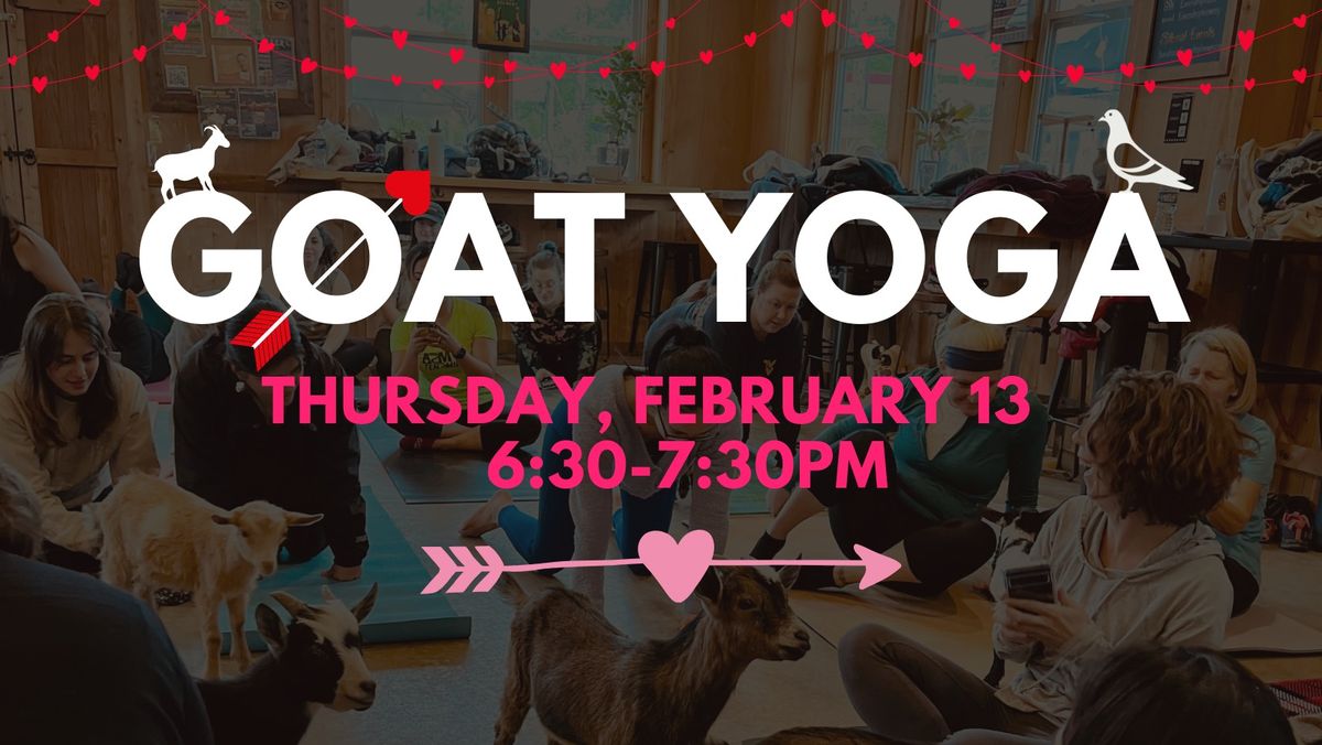 Goat Yoga: Valentine's Edition at Eavesdrop!