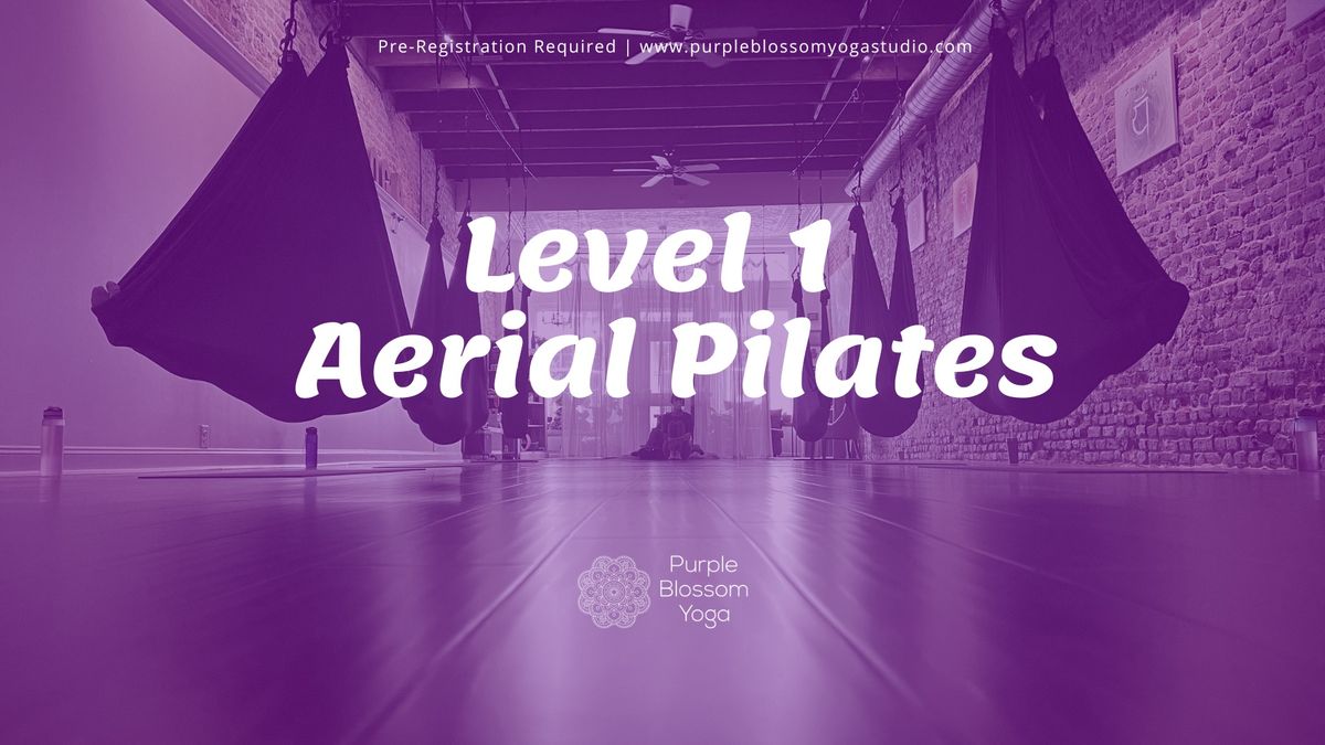 Level 1 Aerial Pilates