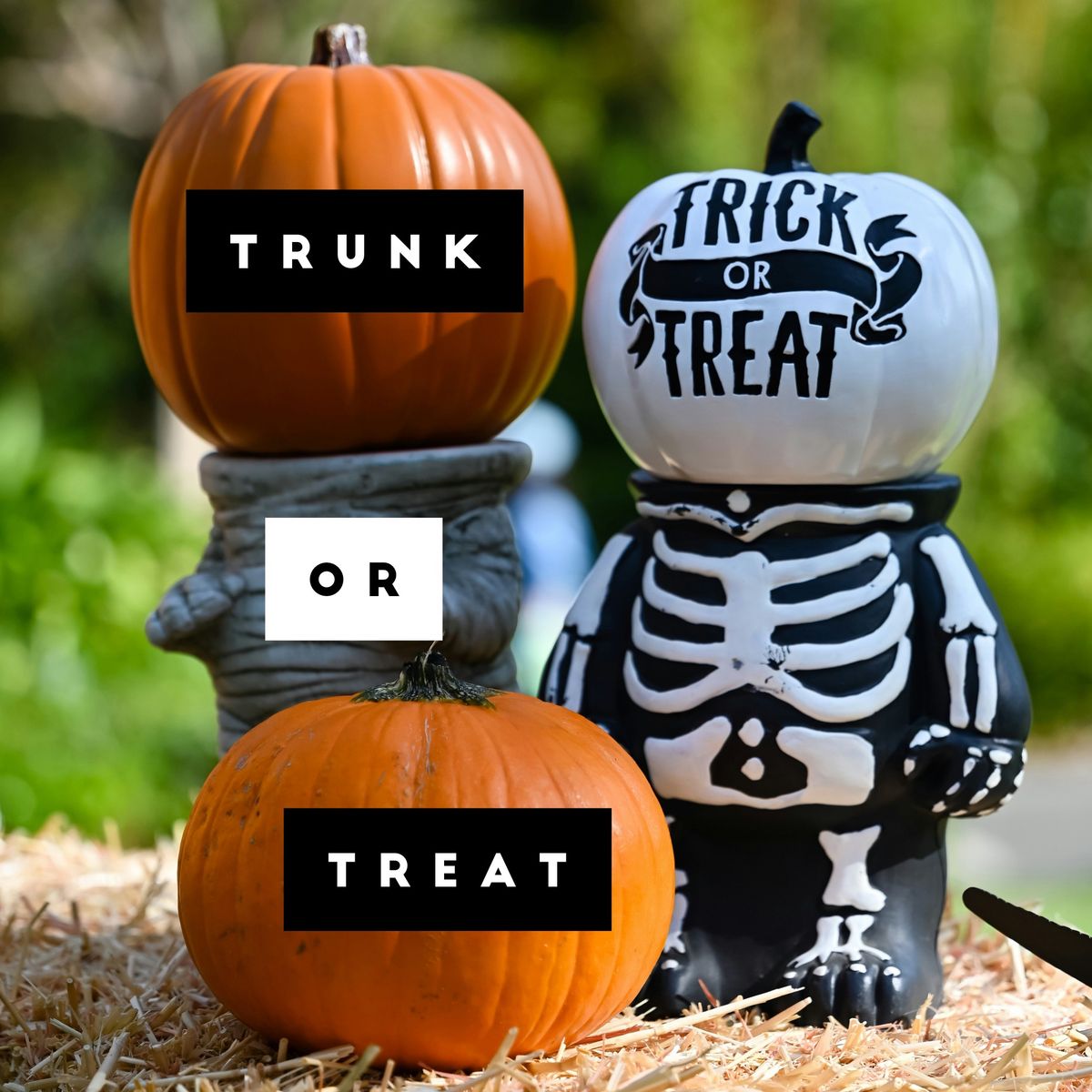 Trunk Or Treat