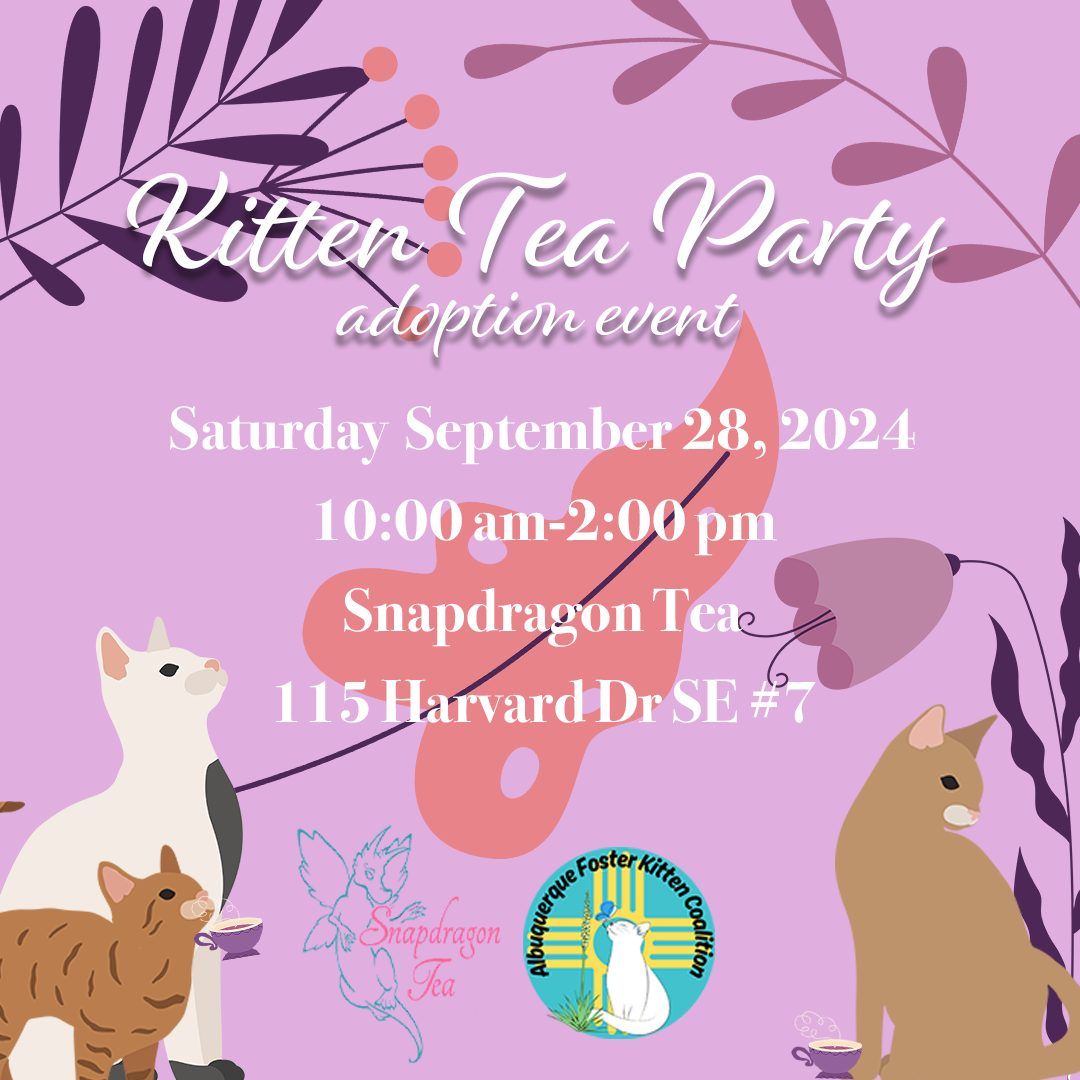 Kitten Tea Party Adoption Event