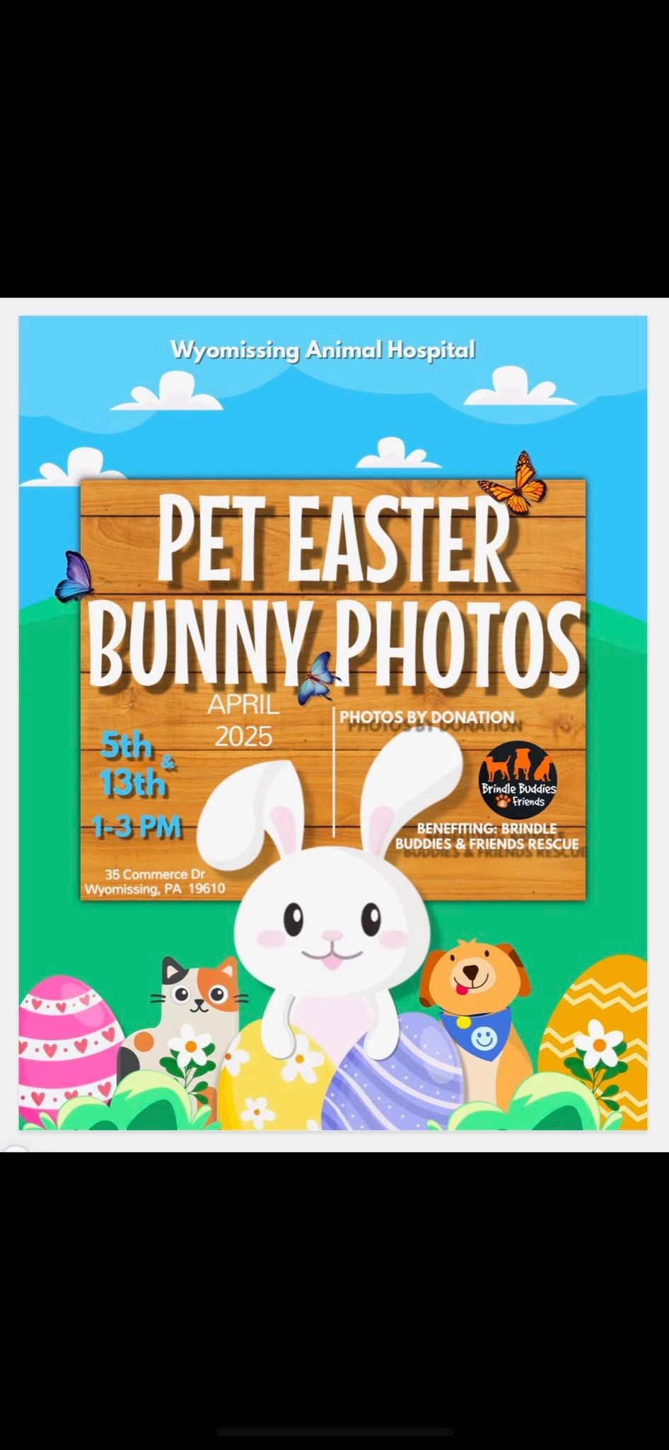 Pet Photos with the Easter Bunny! 