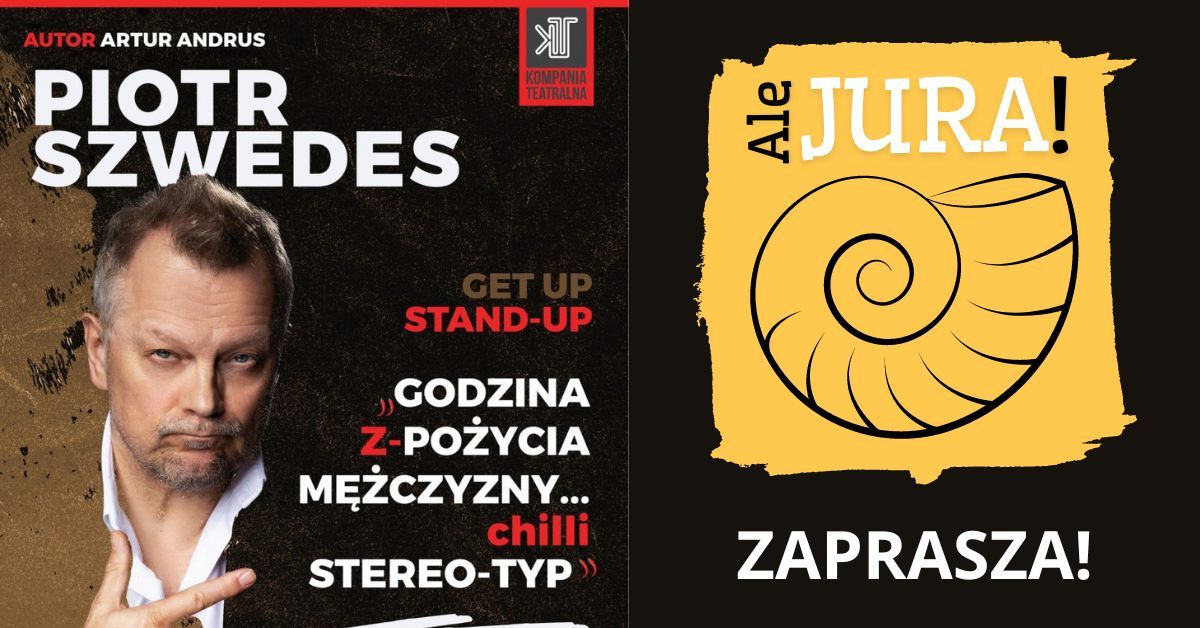 Stand-up - Piotr Szwedes - Godzina z-po\u017cycia m\u0119\u017cczyzny