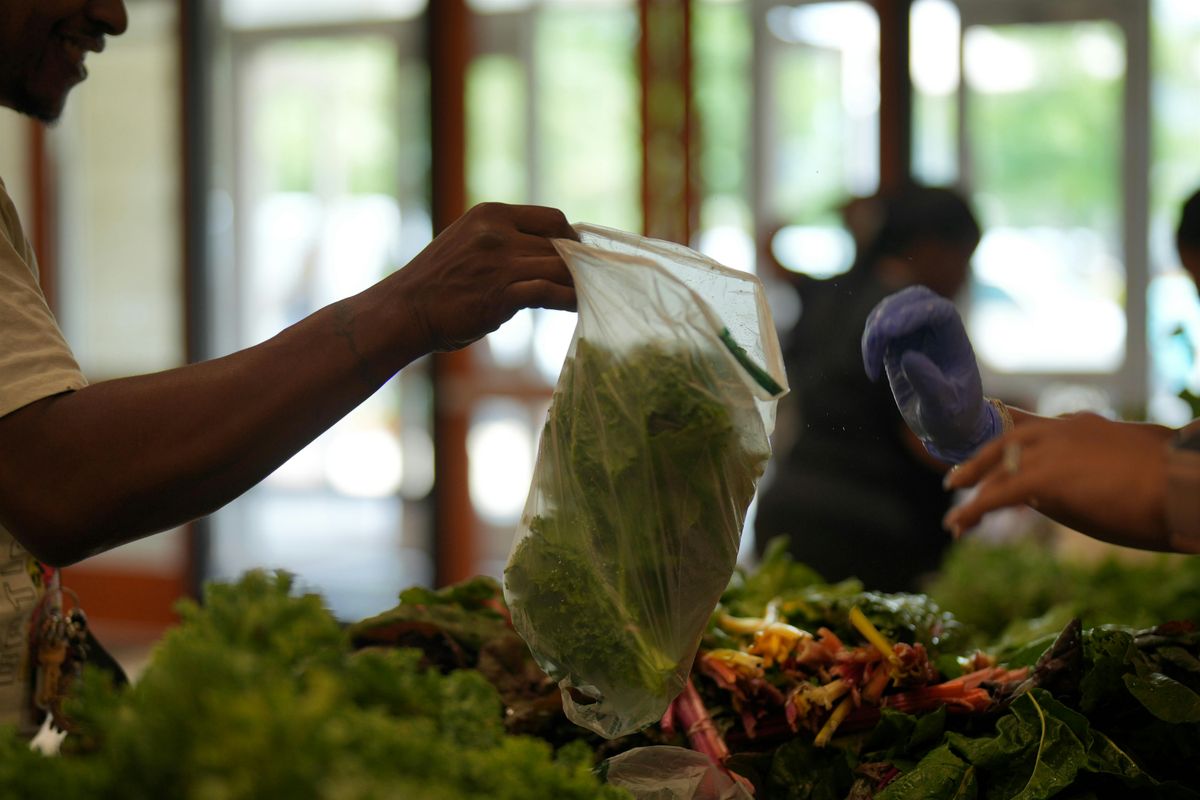 Volunteer at THEARC Farm for Food Farm Fridays 2026