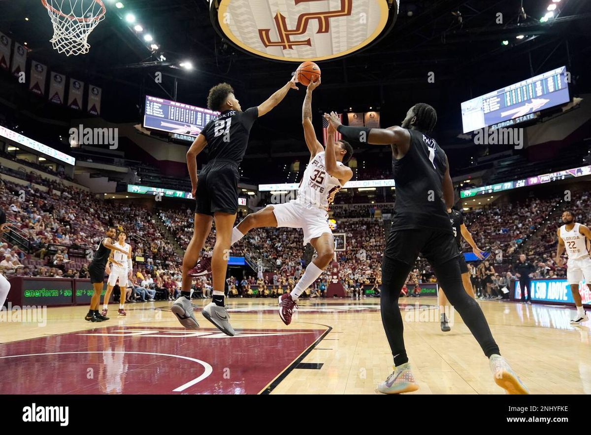 Florida State Seminoles vs. Stetson Hatters