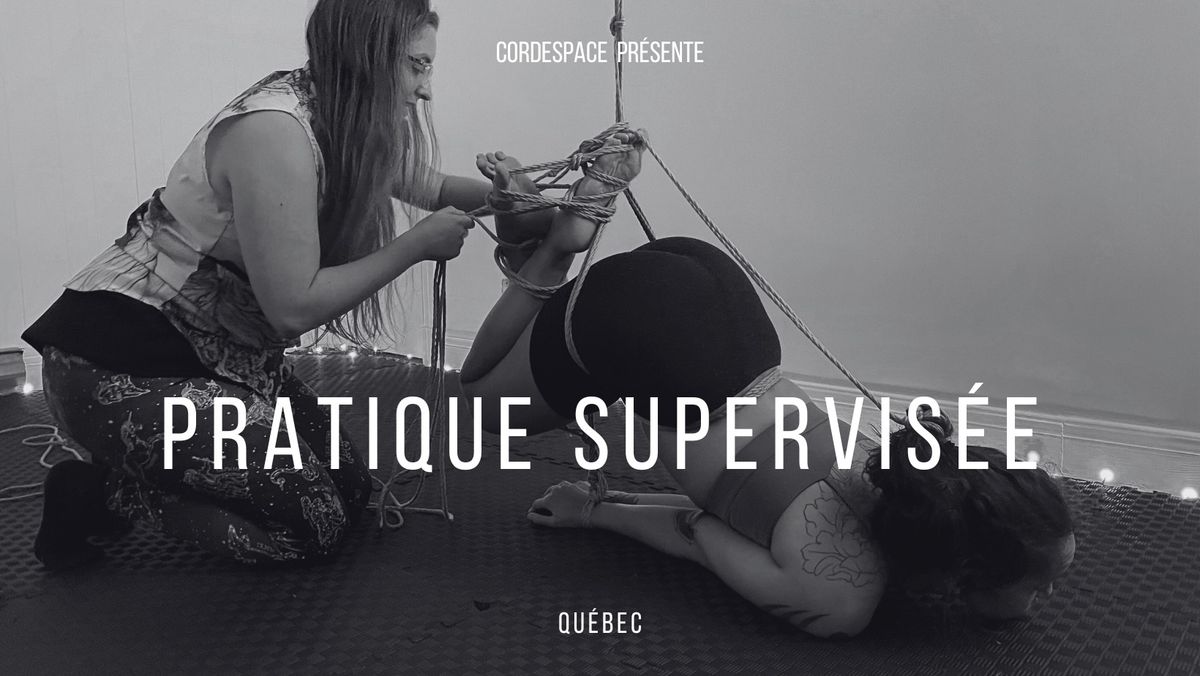 Pratique supervis\u00e9e - 27 novembre 2024