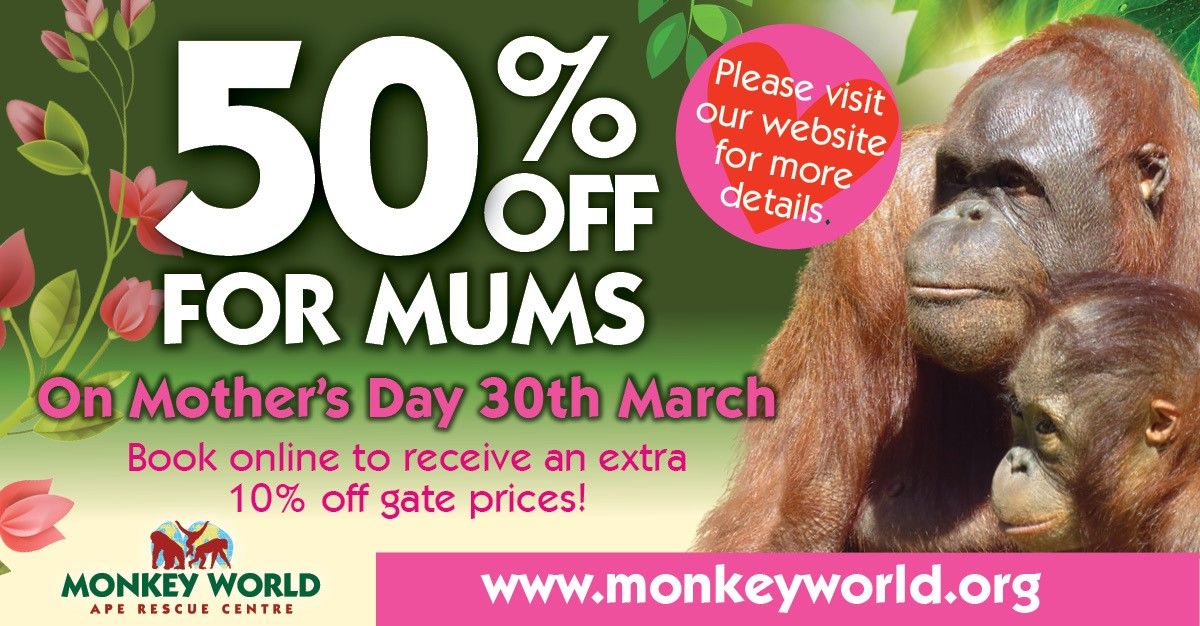 50% entry for Mums on Mother's day at Monkey World