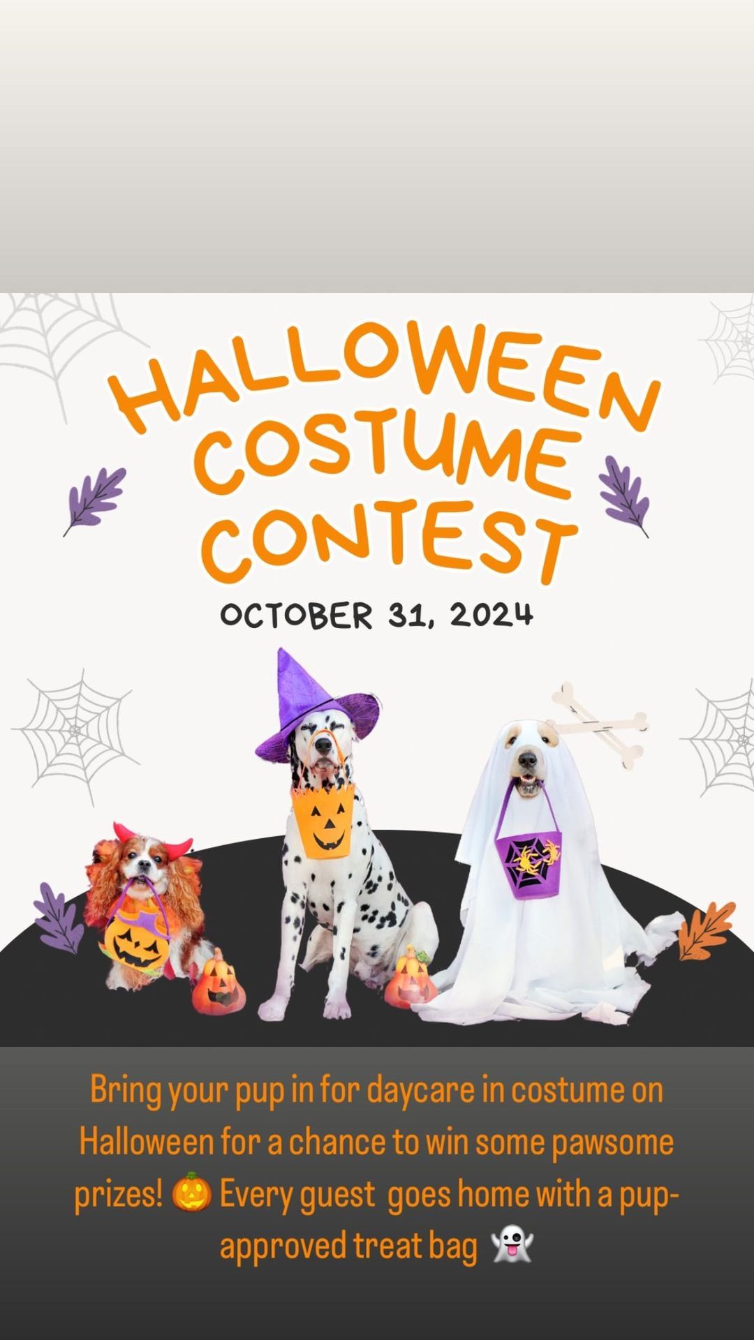 Halloween Costume Contest