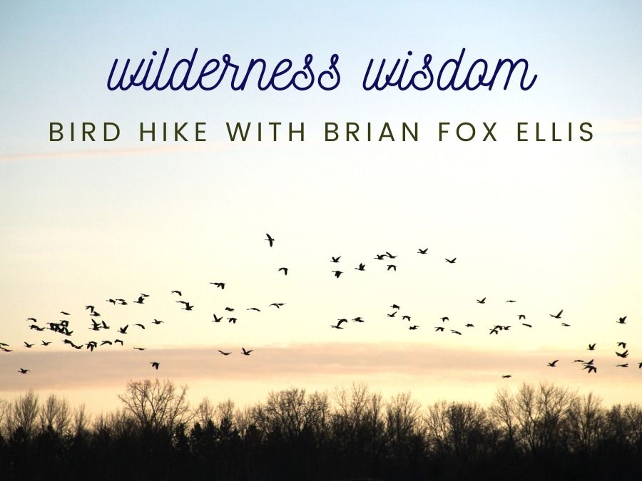 Bird Hike with Brian Fox Ellis