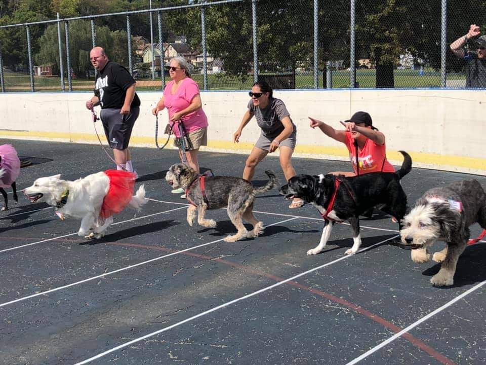 Fifteenth Annual Bandshell Bark Dog Walk & Festival