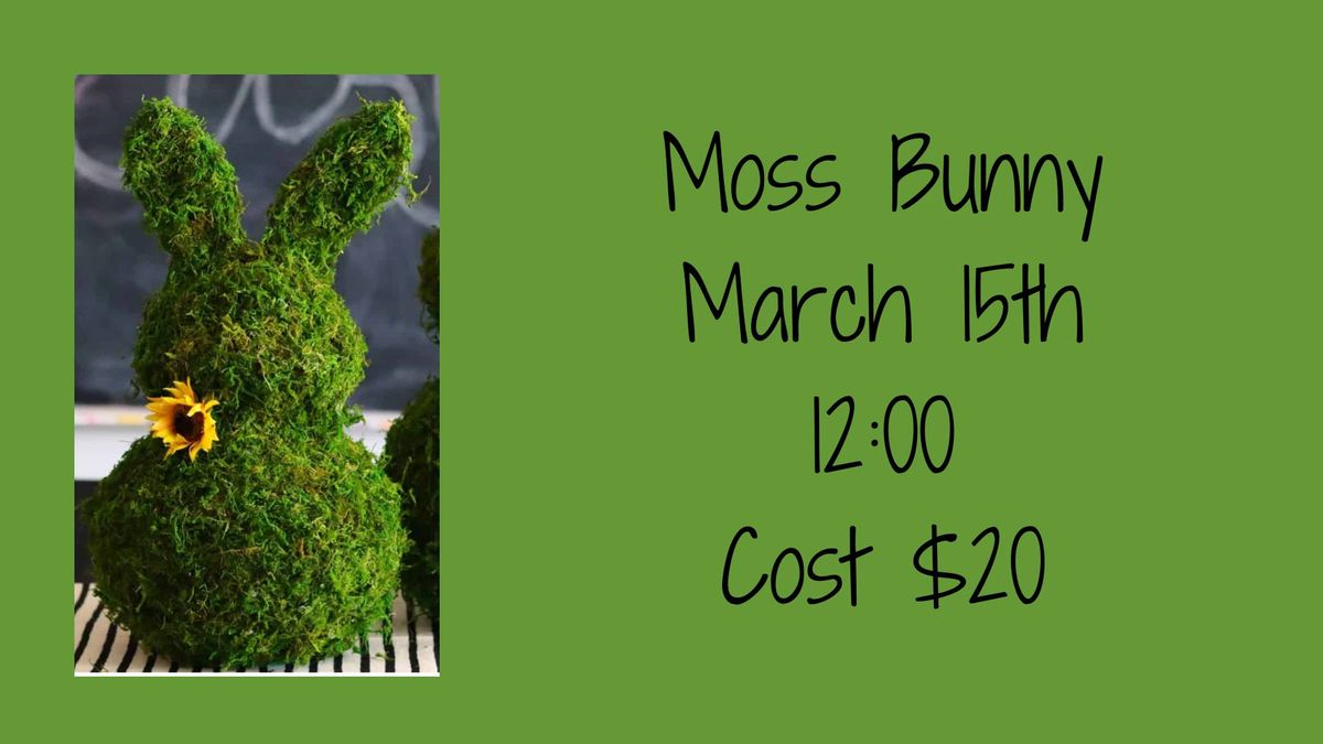 Moss Bunny Class