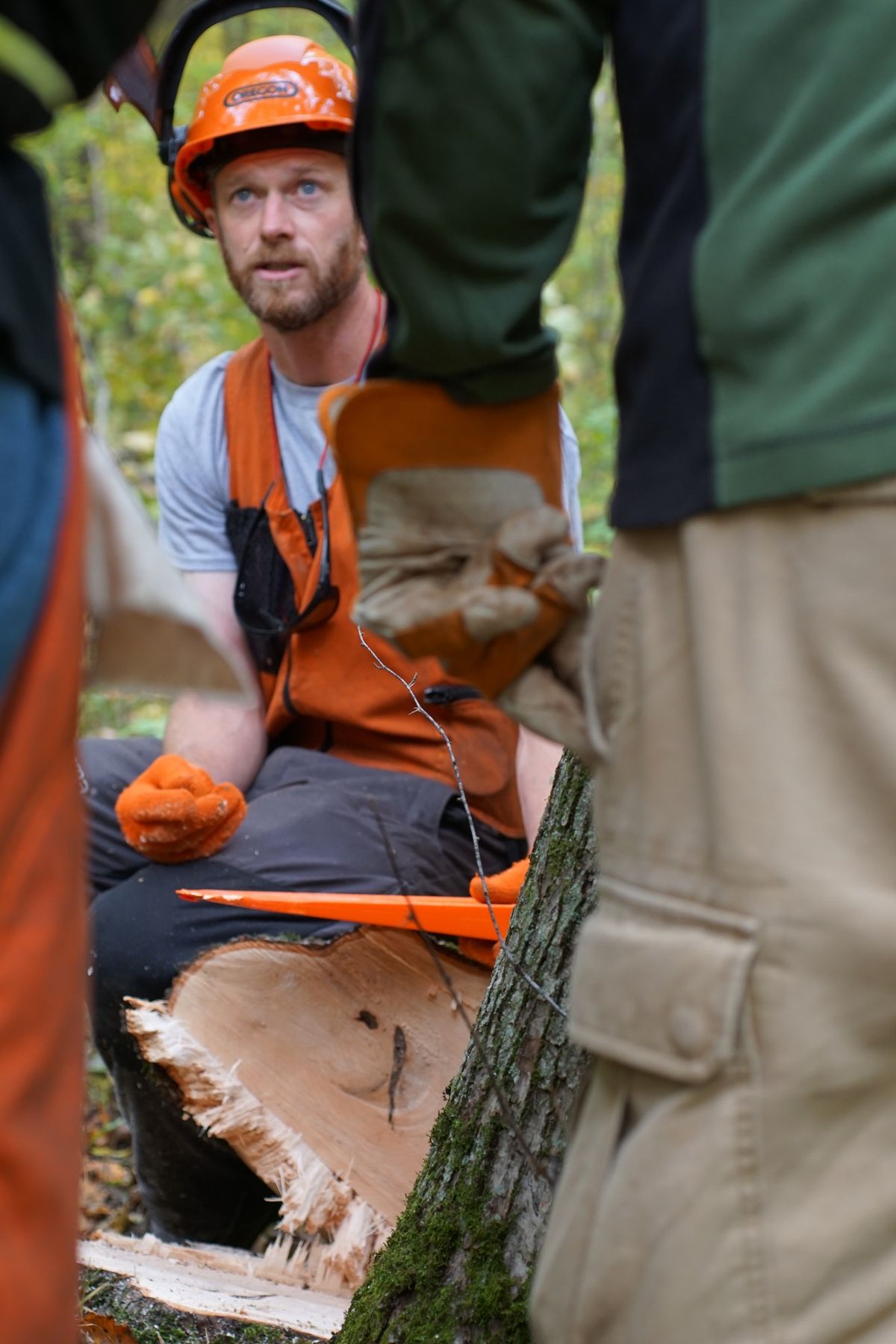 SAWW Level One: Chainsaw Safety and Efficiency Training || with Luke Saunders