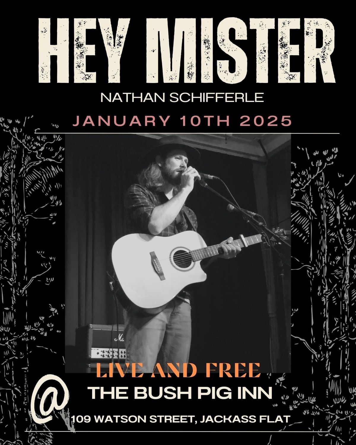 Hey Mister LIVE and FREE @ The Bush Pig Inn 