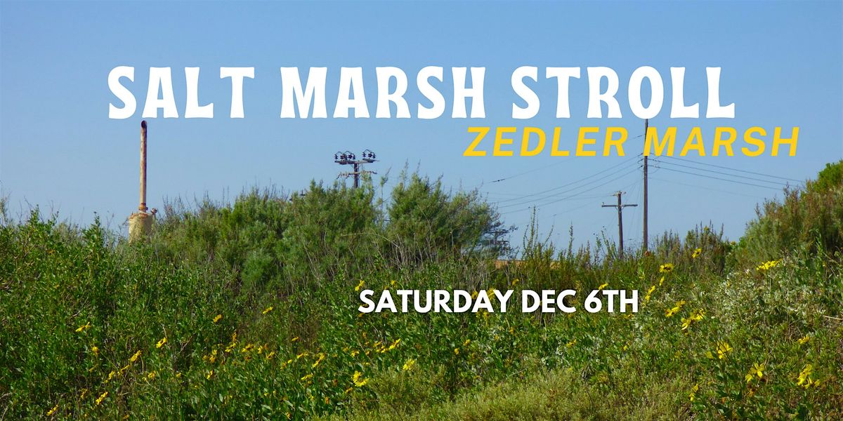 Los Cerritos Wetlands Nature Walk : Salt Marsh Stroll