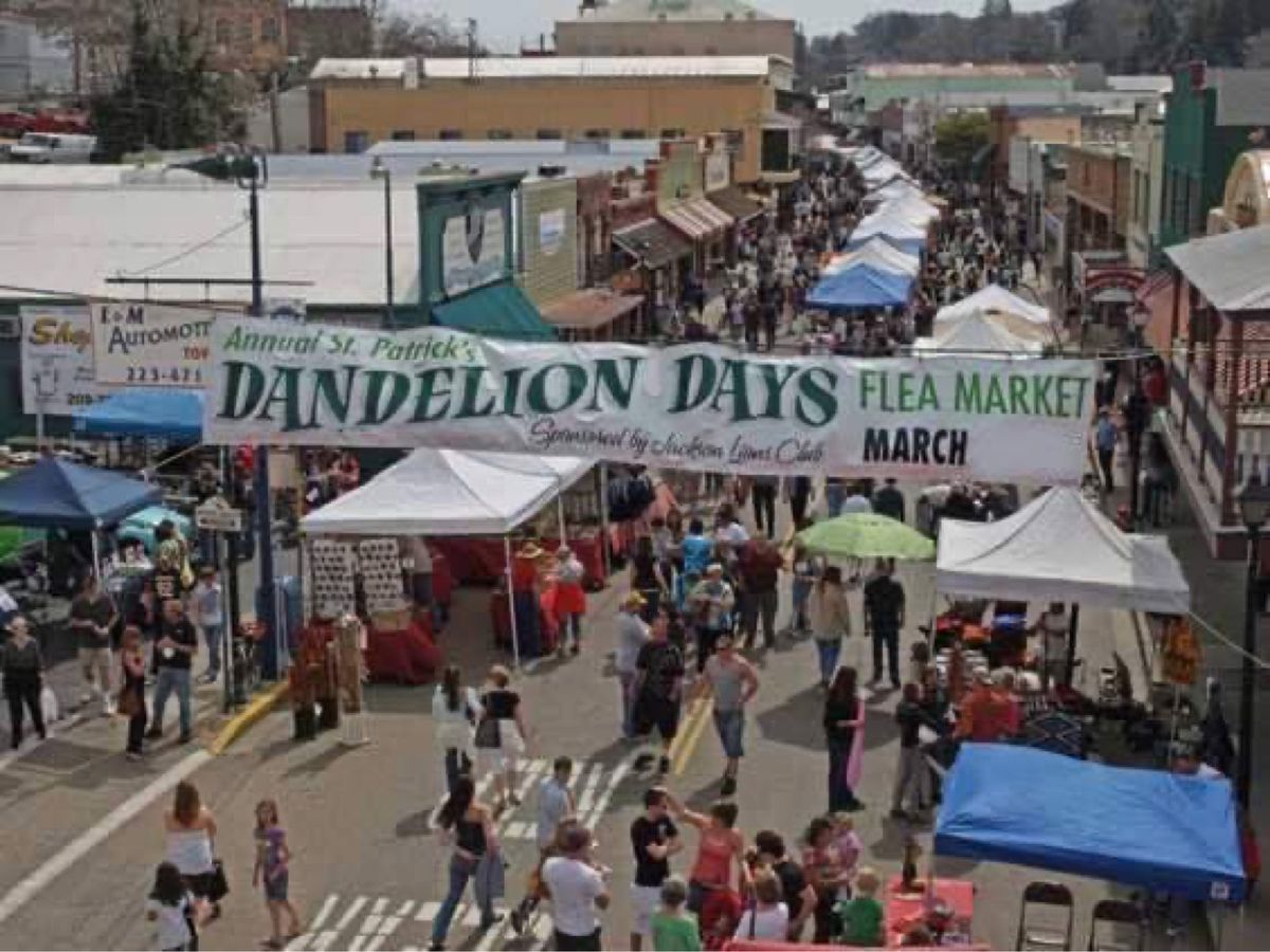 Dandelion Days Street Fair