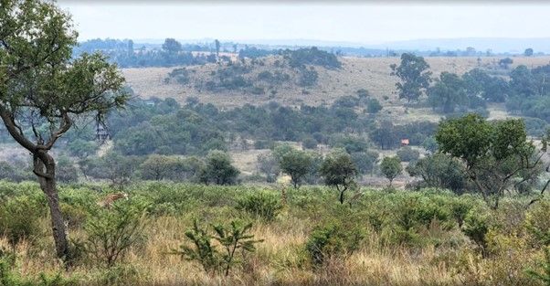 Somabula Nature Reserve Day Hike