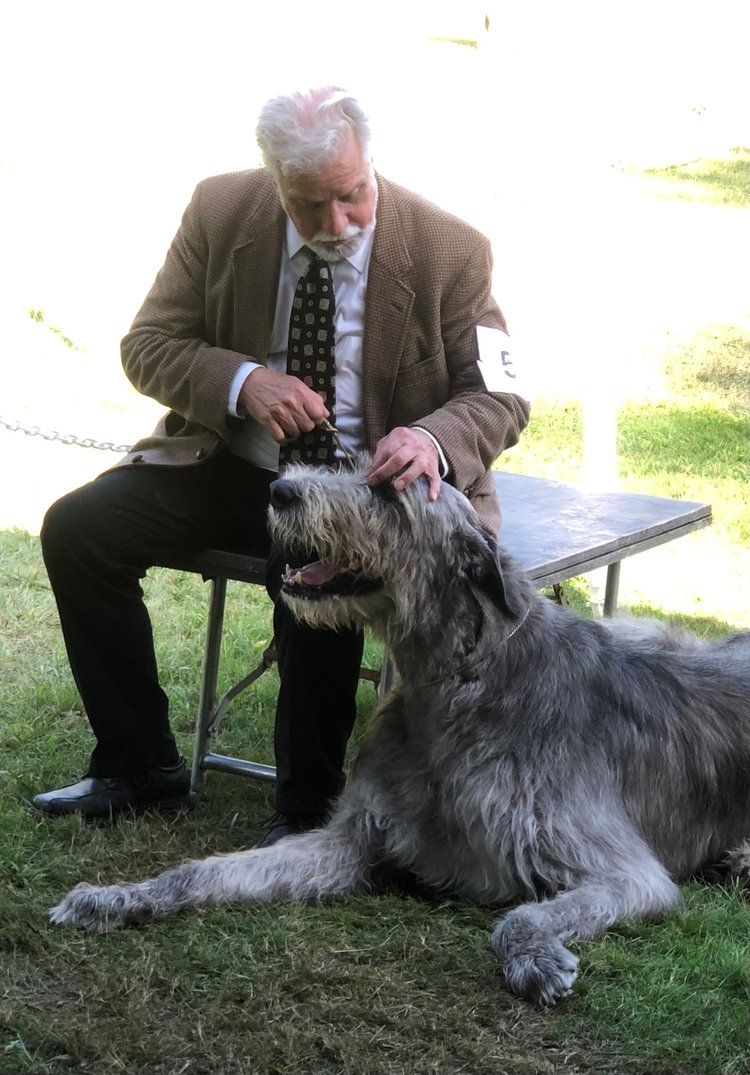 The Suffolk County Kennel Club - All Breed Dog Show