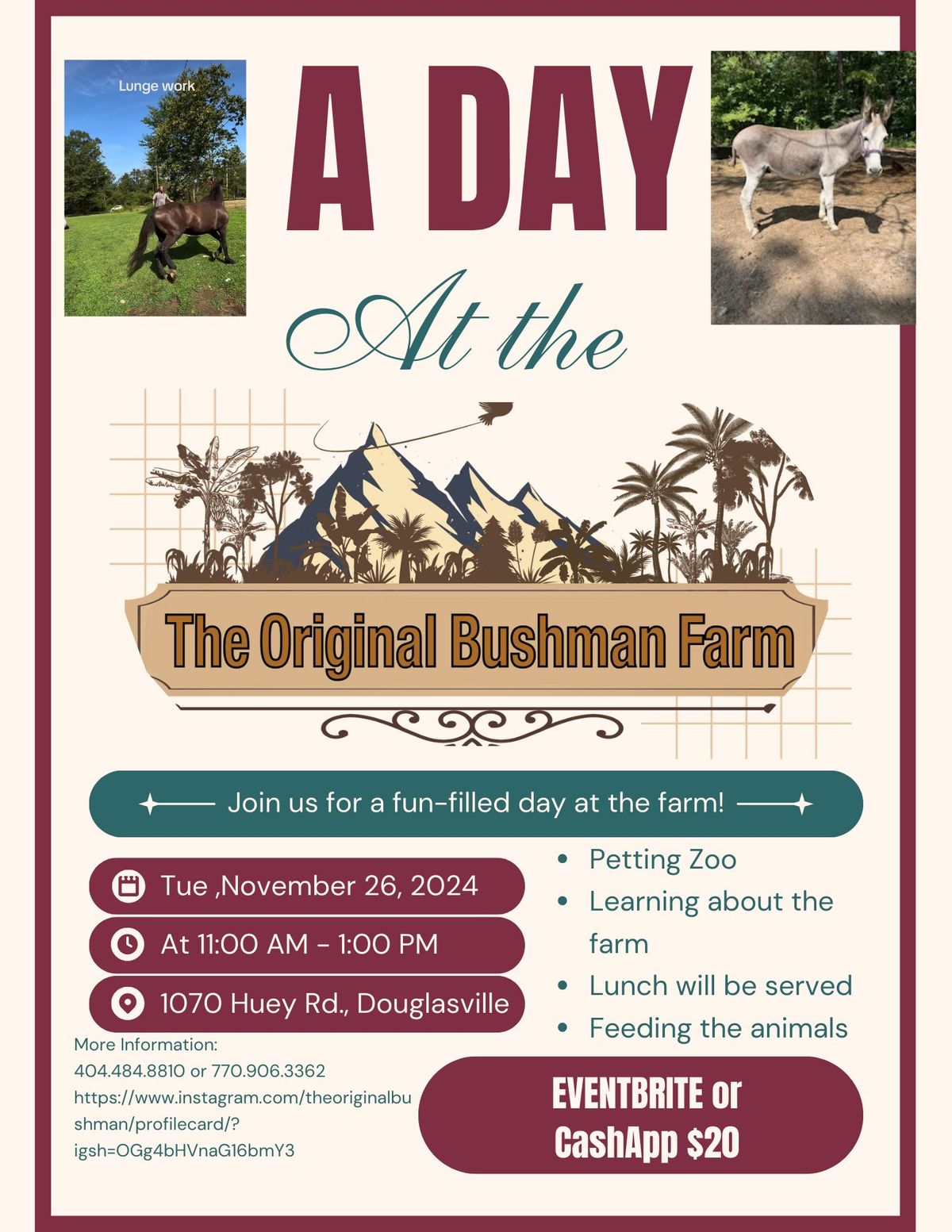 Let's experience The Original Bushman farm